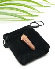 Genuine Spinosaurus Tooth