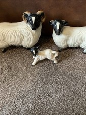 Vintage Coopercraft Large Blackface Family,Ram, Ewe & Lamb / Sheep Ornaments. 