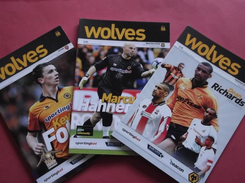2010 wolves home - 2010/11,