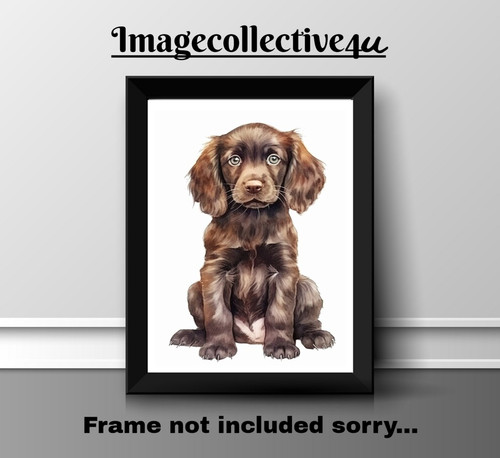 Field spaniel pet dog - field,