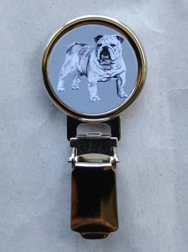 Bulldog dog show ring - dog,