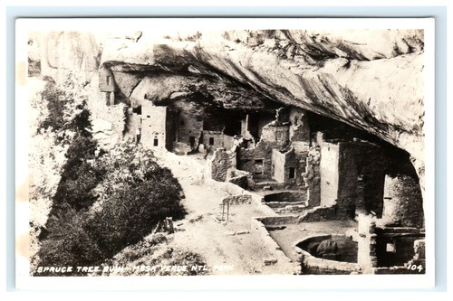 Rppc spruce tree - rppc,