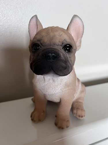 Vivid arts blue french bulldog - arts,