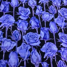 Fabric Freedom-Twilight