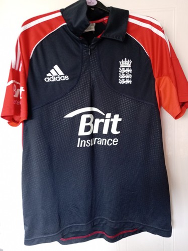 Vintage retro 2011 odi - 2011,