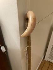 CURLY  Rams Horn Shepherds Crook Walking