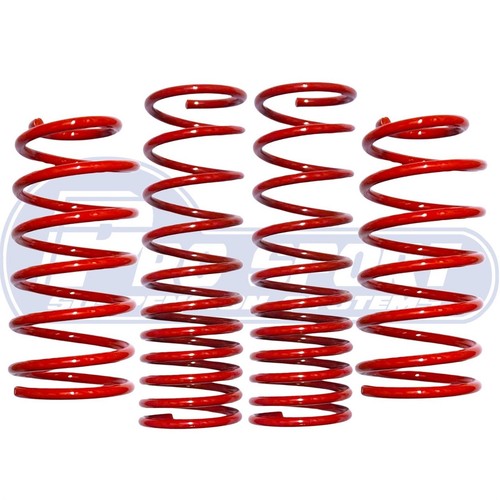 Pro sport lowering - sport,
