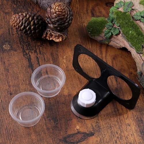 Gecko food holder feeding - gecko,