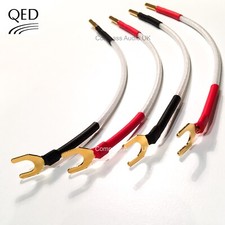 Qed silver anniversary - qed,