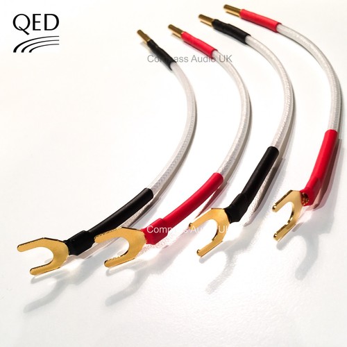 Qed silver anniversary - silver,