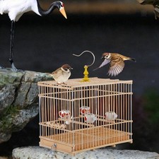 Bird Cage Parrot Birdcage