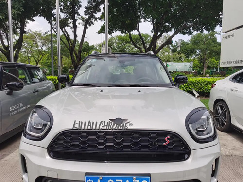 Fits mini f60 angry - eye, covers