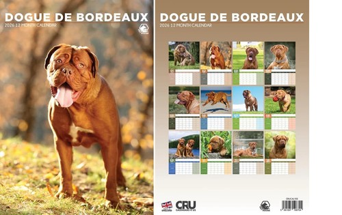 Dogue bordeaux 2026 - bordeaux,