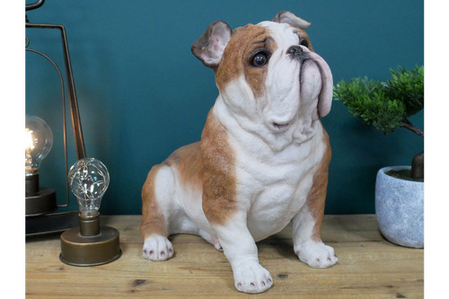 Large british bulldog - large,