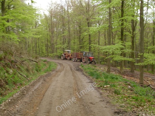 Photo 12x8 forestry machinery - photo,