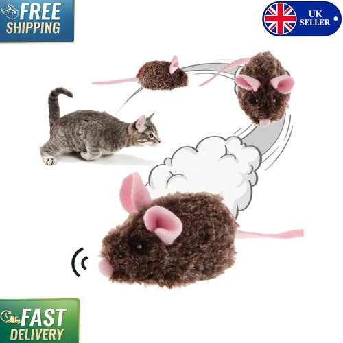 Realistic moving mouse for - moving,