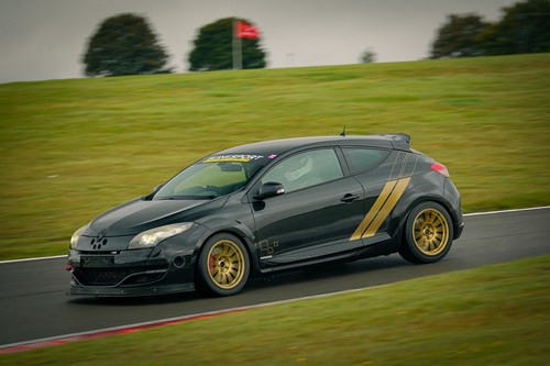 Renault megane rs250 cup - rs250,