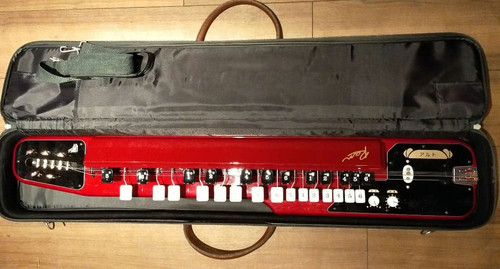 Suzuki electric taishogoto - electric,