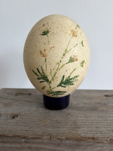 Antique ostrich egg blown - antique,