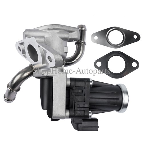 Water cooled egr vacuum valve - cooled,