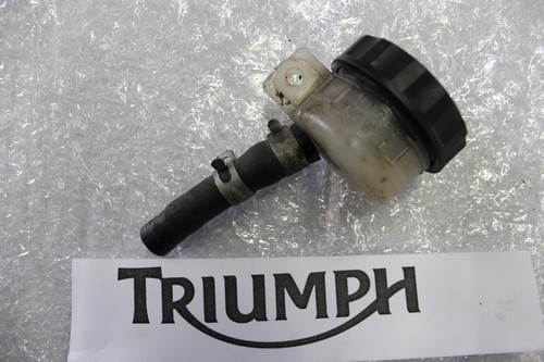 Triumph sprint 955i - sprint,