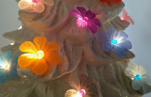 Large flower bulbs for - 10,