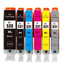 6 Ink Cartridges PGI-530