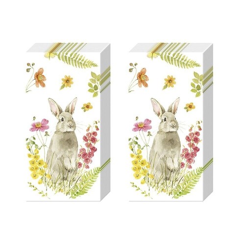 Hop spring easter - spring,