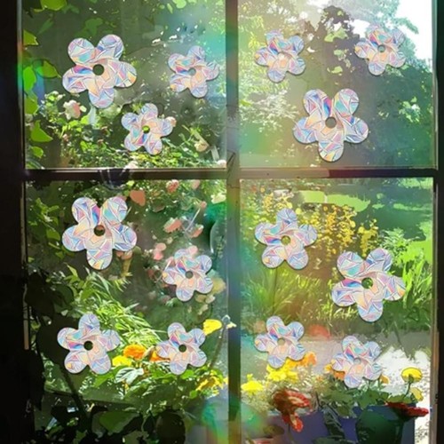Static cling window - static,