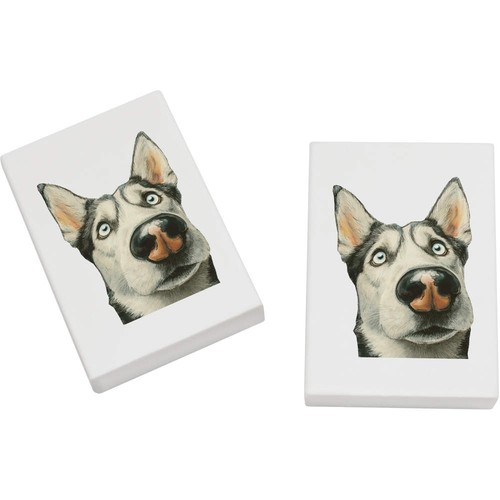 Funny husky dog - x,