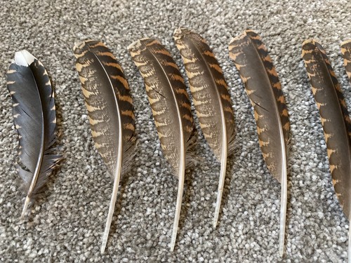 Woodcock feathers for - woodcock,