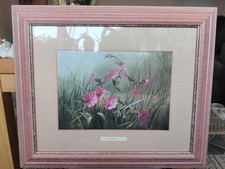 Vintage M Dipnall Red Campion