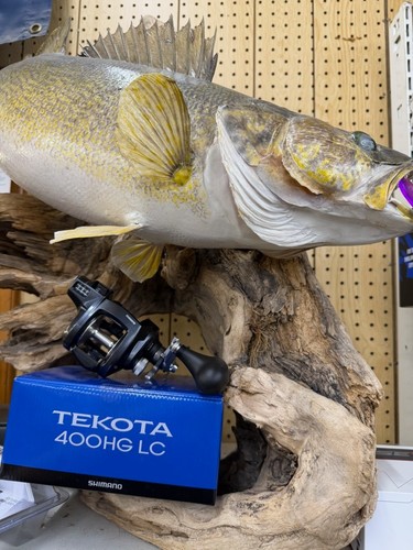 Shimano tek400hglca tekota 400 - tekota,