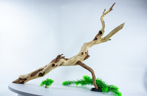 Manzanita driftwood aquarium - manzanita,