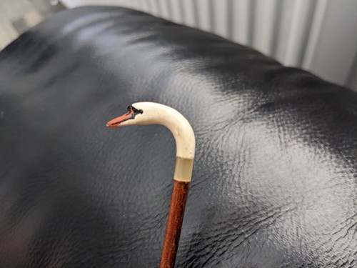 Miniature warking stick swan - miniature,