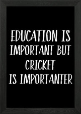 Cricket Is Importanter Framed