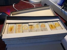 Vintage Set of ~85 Professional Prepared Microscope Slides Path Subjects - c1940