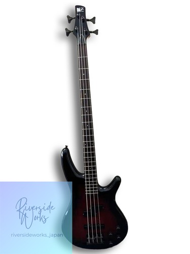 Ibanez sdgr electric - ibanez, with