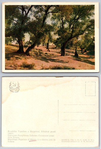 Albania valona vlorë olive - valona,