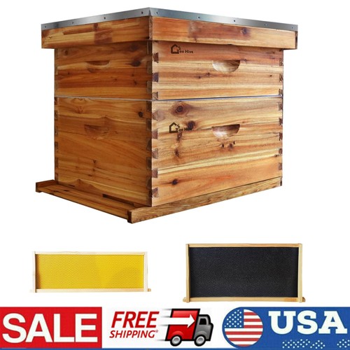 Beehive frame complete - beehive, box