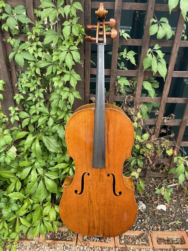 Nice old english cello - cello, circa
