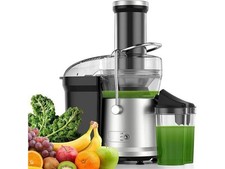 1200W Juicer Machine - Dual