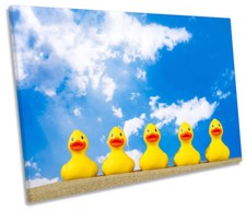 Rubber Ducks Beach Bathroom