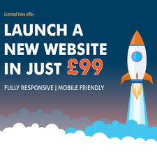 Professional Website