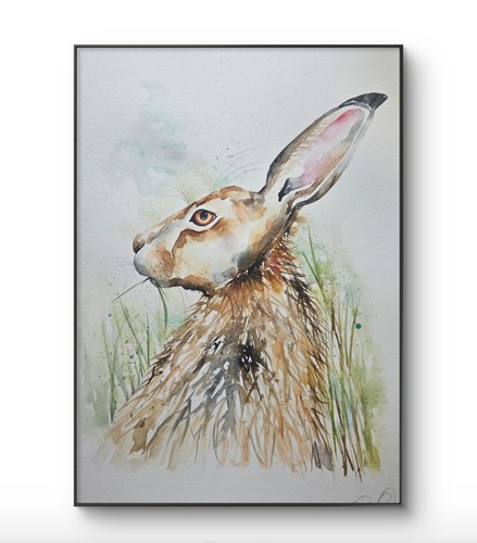 Original hare watercolour - hare,