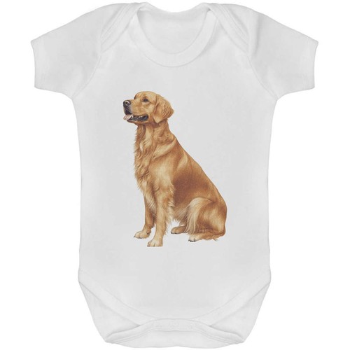 Golden retriever dog baby - 'golden,