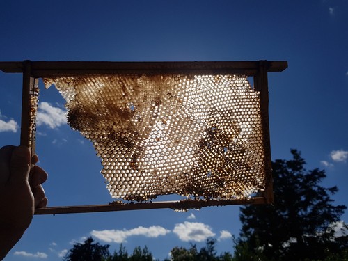 National beehive super - super, or