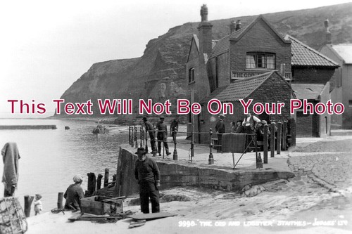 13725 the cod lobster - yo,