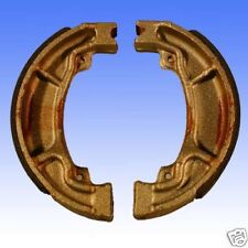 Rear Brake Shoes for 2015-2016