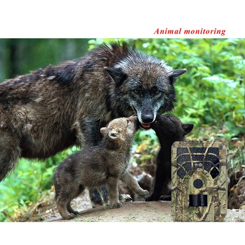 Outdoor trail camera - trail,